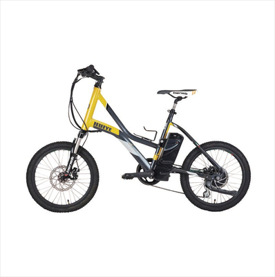 OEM 근막 총 건전지 24V 2600Mah 전기 자전거 이동할 수 있는 건전지